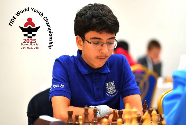 MS Albánsko ofic.foto aj s logom